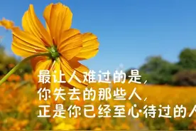 人生路途，荆棘遍布，相信低调做人，坚强前行，早安图片