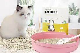 猫砂的水分太大了，在选择的时候一定要注意图片
