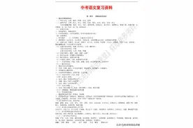 中考语文总复习资料，比较老的资料了图片