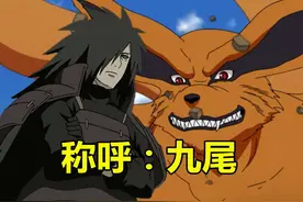 忍者都叫九尾什么？斑叫它九尾，小李叫他九尾同学，她：小九九图片