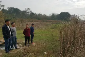 为何耕地抛荒愈演愈烈？老农说出根本原因，专家：做好3点可缓解图片