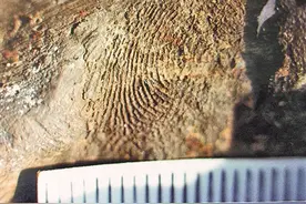 赵成文：让蒙面嫌犯、千年古人现真容图片