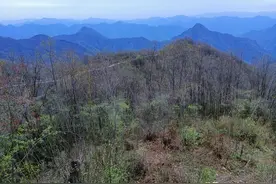秦岭这座山有点神奇！秦楚古驿道曾翻山而过，3条公路在顶峰交汇图片