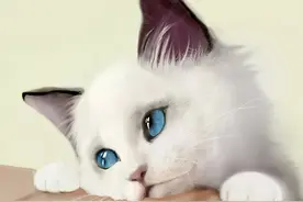 你知道吗？猫咪也会得艾滋病图片