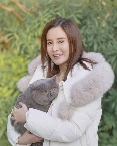 花胶和螺肉和什么一起炖好吃 2026年花胶和螺肉和什么一起炖好吃又营养