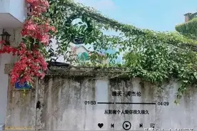 一位高中生曾经过期的暗恋，亲爱的，那也是爱情图片