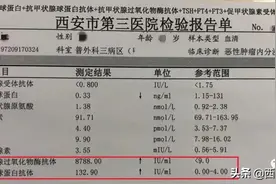 不需“消炎”的炎症｜桥本氏甲状腺炎图片