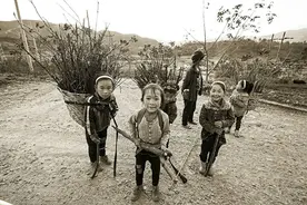 乡土散文：背起背笼去捡柴图片