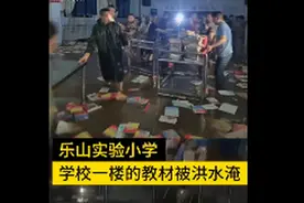 教室被淹，200名家长接力抢出全校教材，网友：学生感动的都哭了图片