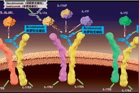 立美芙：银屑病新药获批 预计明年上市进入医院图片