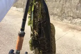 路亚钓黑鱼：从装备选择到操作手法，谈一谈个人的建议图片