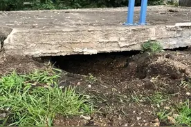 桥底传出诡异声，花一个小时挖地洞，抱出6只藏身小猫咪图片