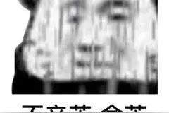 沙雕熊猫头表情包第三弹图片