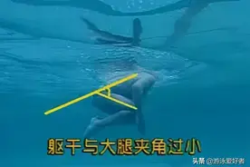 游蛙泳为何老是翘PP?蛙泳初学必看图片