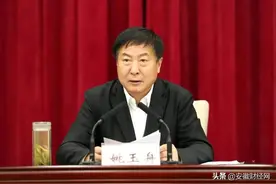他已卸任安徽省委常委图片