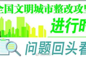 问题回头看 | 枣山路附近 公厕修缮完毕图片