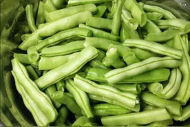 6月，鲜嫩清甜的四季豆大量上市了！来一锅好吃的：四季豆焖排骨图片