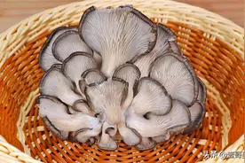 炒蘑菇时，大多数人第一步就错了，大厨教你一招，出锅鲜香入味图片