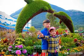 香港海洋公园，孩子们心中的乐园，真的会倒闭吗图片