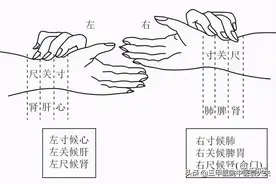 望闻问切系列第8篇：浮脉、沉脉、迟脉、数脉、滑脉的科学机理图片