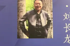 国展三连冠刘长龙凭14大字，获第七届兰亭奖铜奖，略带何绍基笔意图片