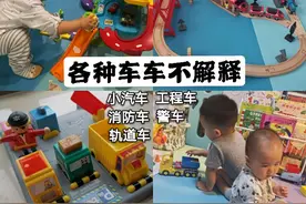 小男孩一定要买、最值得买的五大类玩具图片