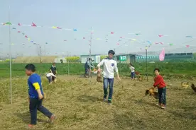 草丛徒手抓鸡图片