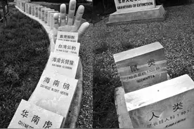 台风“烟花”过后的一幕：真正的报应，已经来了图片