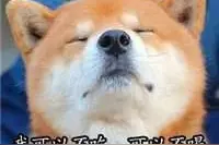 幽默笑话：中国家长教育孩子的现状图片