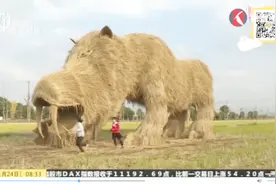 拍照的好去处！稻草玩出新花样，郊野公园野趣多视频封面