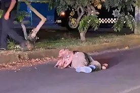 忠犬八公！墨西哥男子街头遭枪杀倒地身亡，可怜小狗守护不离不弃图片