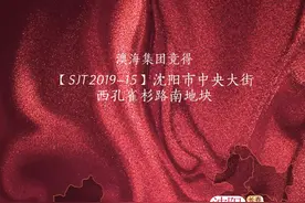 沈阳中央大街西孔雀杉路南地块规划公示，项目定名澳海云杉赋图片