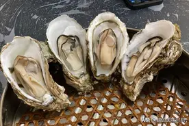 广东最任性的老板娘，拒客率比上座率还高，很多人为一睹芳容而来图片