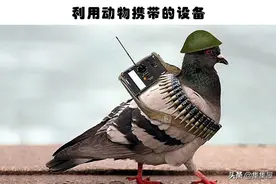 揭秘：人类历史上出现过的5个邪恶的秘密间谍设备图片