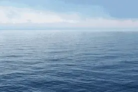 “海底垃圾清洁工”，意大利生物机器人研究所水下行走机器人进展图片