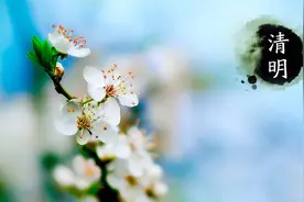 清明时节雨纷纷——清明节图片