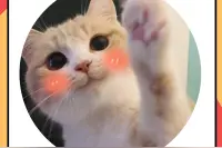 玄学找猫大法，铲屎官们了解一下图片