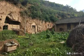 秦岭深山养蜂故事（二十四）图片
