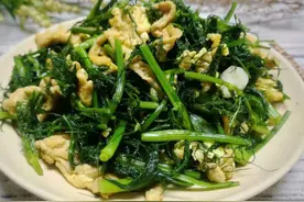 夏天，肠胃不好脾虚的人，要多吃这菜，遇到多买点，天天吃也不亏图片