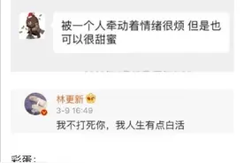 王思聪、林更新微博经典语录进行对话，毫无障碍的沟通哈哈哈哈哈图片