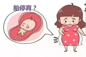 胎停育后如何重新备孕？图片