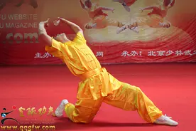 少林醉拳全套动作图解图片
