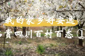 袅袅炊烟，青砖黛瓦，在四川村落中找到遗失的美好！图片