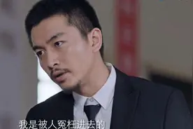 突围原著男配角结局：秦小冲真的是敲诈罪犯 陆建设保住待遇退休图片