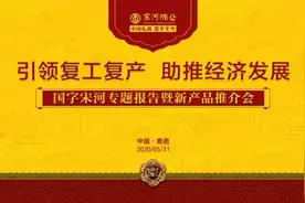 国字宋河.盛世品牌鹿邑发布，引领复工复产，助推经济发展图片