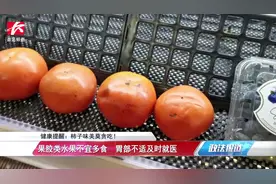 一次性连吃6个柿子腹部剧痛，男子就医一查：胃里长出2块巨大结石视频封面
