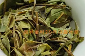 此文让您了解福鼎白茶纯日晒，新工艺白茶，雪芽白茶的品质特点图片