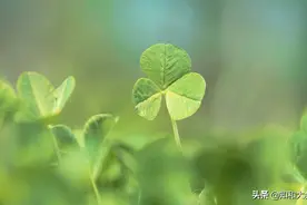 经常对你做这3件事的人，看似为你好，其实骨子里“看不起”你图片
