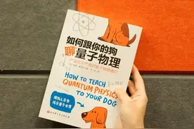 犹豫不决，量子力学图片