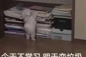 学习表情包 | 暑假作业被安排了，辅导班也报上了吧图片